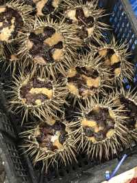 Yantai - Seafood - Solo travel. 