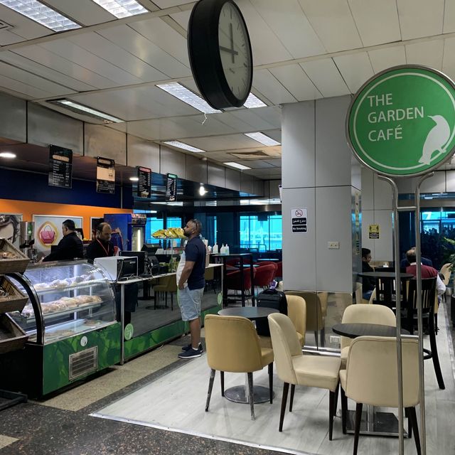 Cairo airport terminal 1