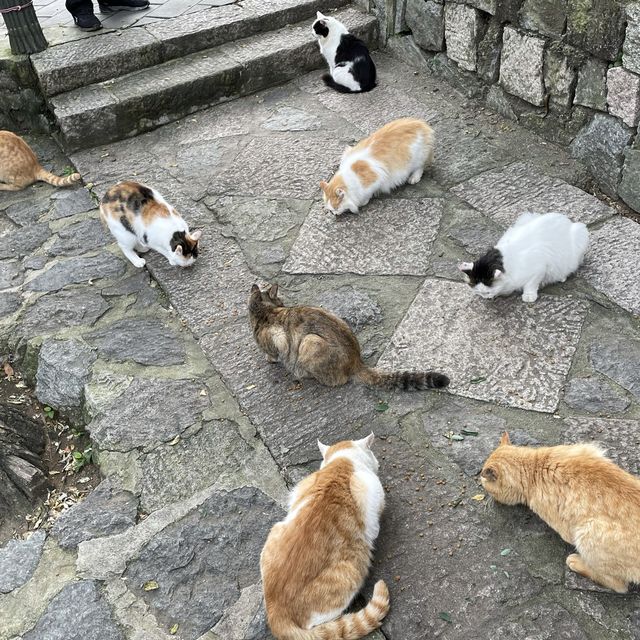 世界遺産 慕田峪长城（万里の長城)