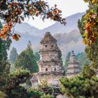 Shaolin’s Pagoda Forest