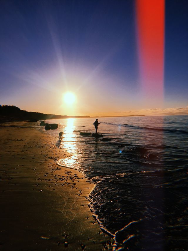 Roseisle Beach, Scotland 🏴󠁧󠁢󠁳󠁣󠁴󠁿🌿