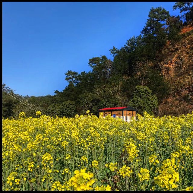 Spring in Thousand Island lake - China 🇨🇳 