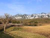 世界自然遺產日本知床半島