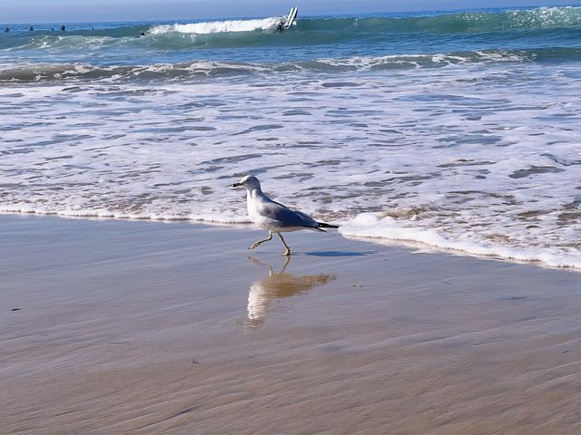 San Diego must-visit.