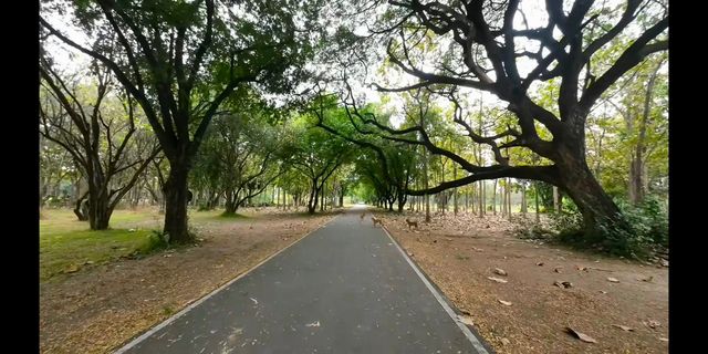 Sukhothai Historical Park