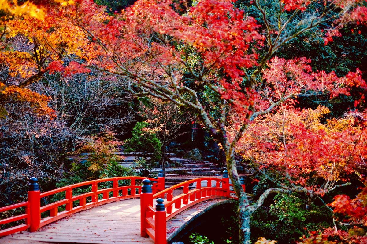 【2023日本紅葉】中國、四國人氣賞楓景點推介：廣島、香川、愛媛 | 廣島