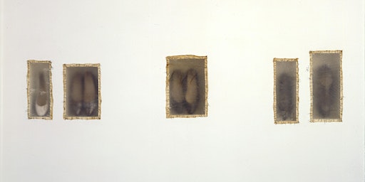 Coffee with the Collection: Doris Salcedo | Akron Art Museum