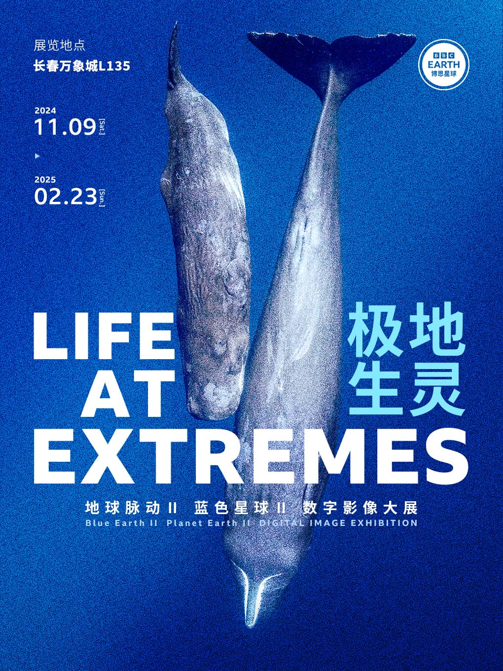 英國BBC EARTH 極地生靈數字影像大展｜展覽休閒 | 長春萬象城L1展廳