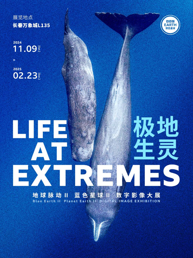 英國BBC EARTH 極地生靈數字影像大展｜展覽休閒 | 長春萬象城L1展廳