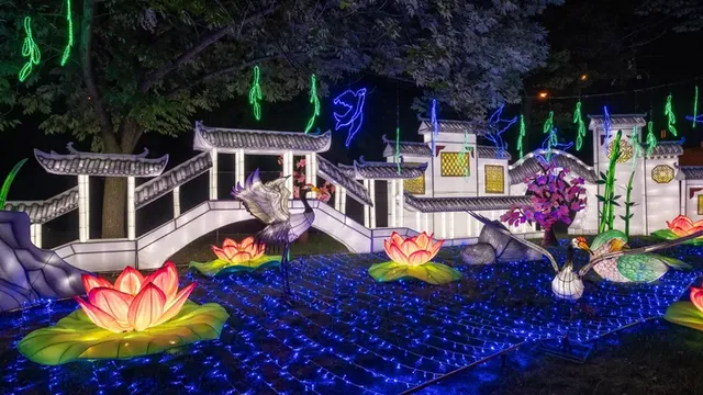 ASIAN LANTERN FESTIVAL: INTO THE WILD | Central Florida Zoo & Botanical Gardens
