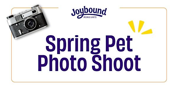 Spring Pet Photo Shoot | Joybound People & Pets