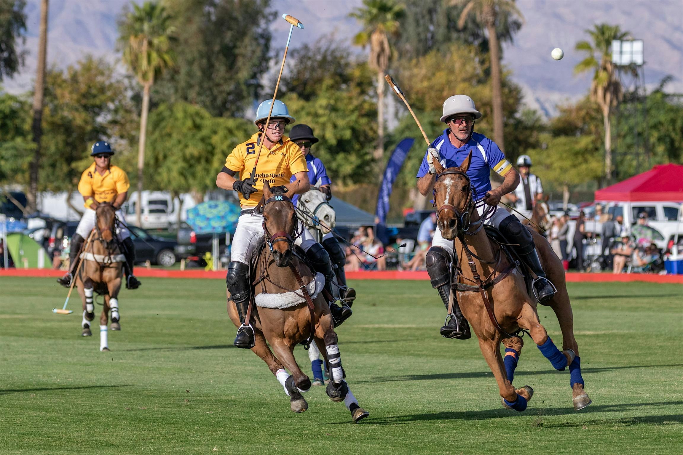 Saturday Polo - TAILGATING - Indio, CA - 3/8 | Eldorado Polo Club