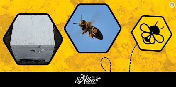 Build Your Own Bee Box | Servus Credit Union Place