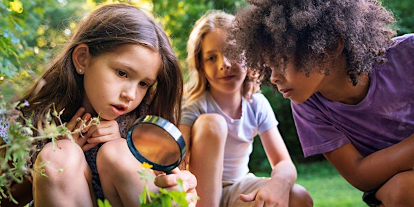Nene Wetlands Forest School for Home Ed - 19th June 2025 | Nene Wetlands Visitor Centre