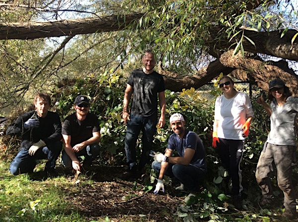 Jericho Beach Park Volunteer Event | Jericho Park