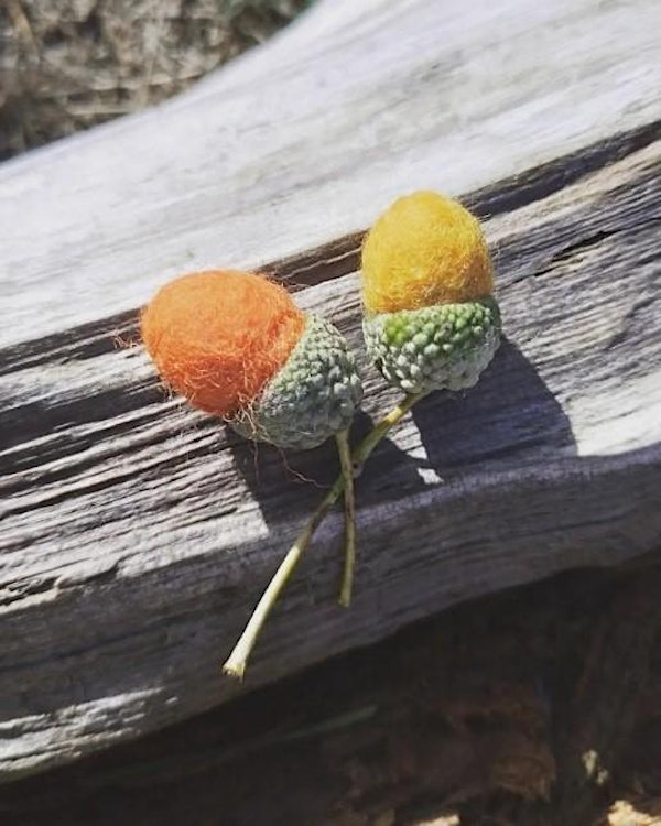 Nature craft for Adults - Felt Acorns | The Parkridge Centre