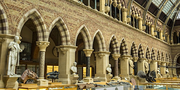 A Story in Stone: exploring the museum’s geological story | Oxford University Museum of Natural History