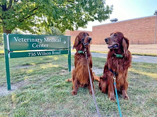 Mid-Michigan Spartans Behind the Scenes at MSU Veterinary Medical Center | Michigan State University Veterinary Medical Center