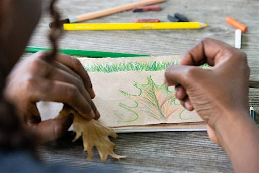 Copy of Drawing in Nature Workshop | Eastbourne Park