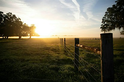 Polk Landowner Expo - 2026 | Starling Ranch Barn on the Lake