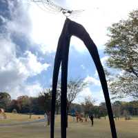草間彌生　霧島アートの森