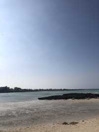 제주, 야자수가 가득한 이국적인 금능해수욕장 🏝