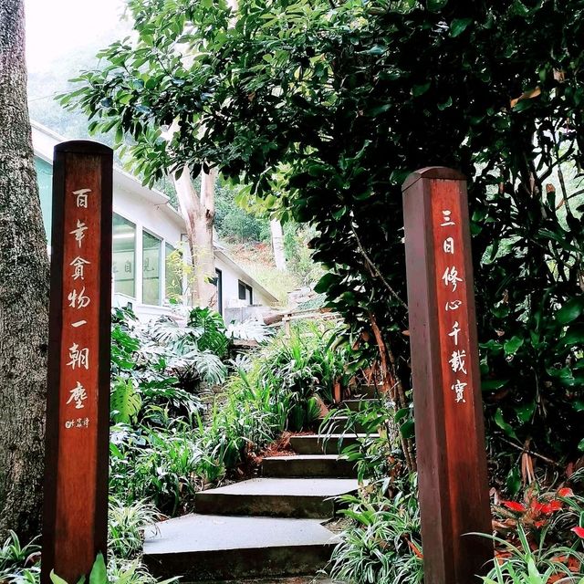 一條梵音裊裊的密林小路