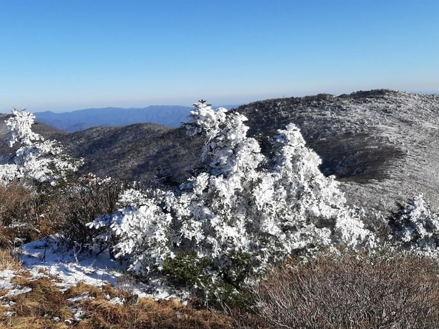 태백산 국립공원🏞