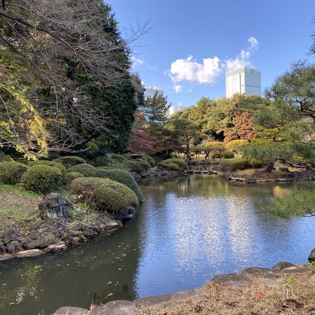 紅葉の新宿御苑・日本庭園