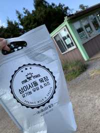 [성이시돌목장] 이국적인 제주 목장🐴
