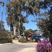 美國貝伍德公園（Baywood park)