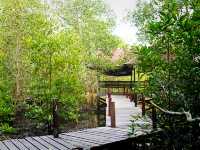 🌳ปล่อยใจไปกับธรรมชาติ ทุ่งสีทองเรืองรองสดใส✨
