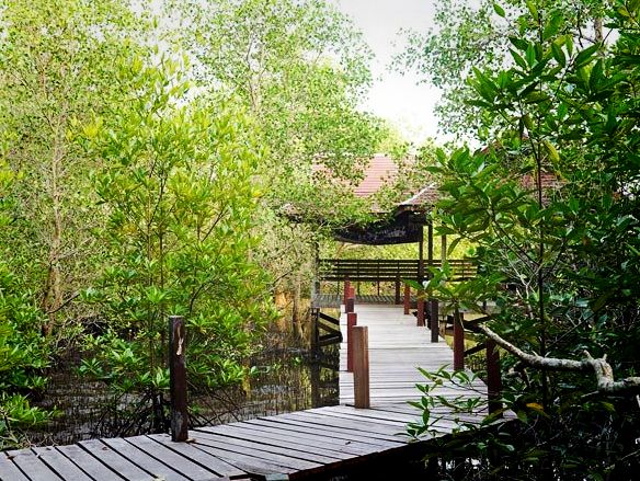🌳ปล่อยใจไปกับธรรมชาติ ทุ่งสีทองเรืองรองสดใส✨