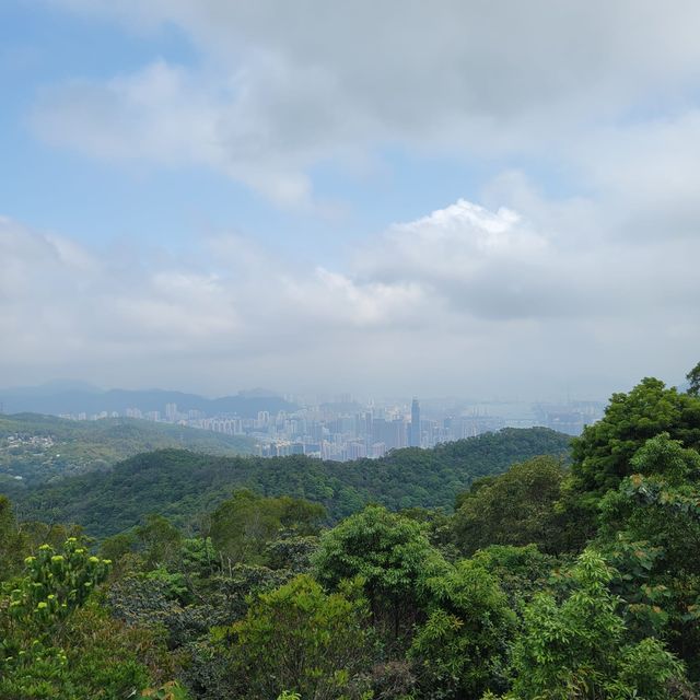 行較偏門的逆走蓮花山