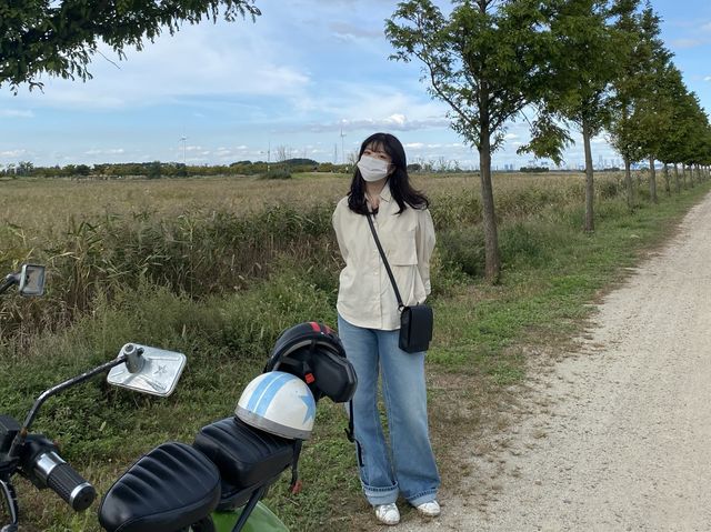 대부도에 오면 꼭 가야할, 대부바다향기테마파크