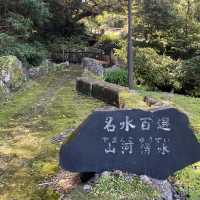 【屋久島】山河湧水
