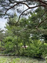 동화 속 풍경을 만날 수 있는 서울대공원 숨은 포토존