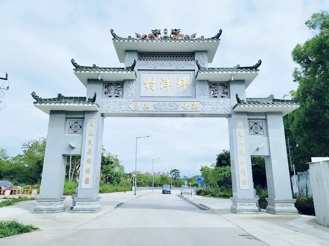 白茅草田