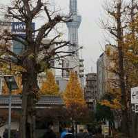 東京暢遊