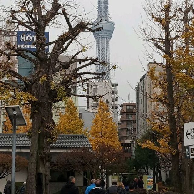 東京暢遊