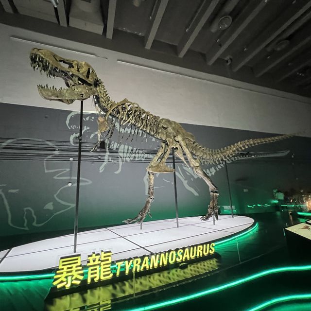 8大恐龍展