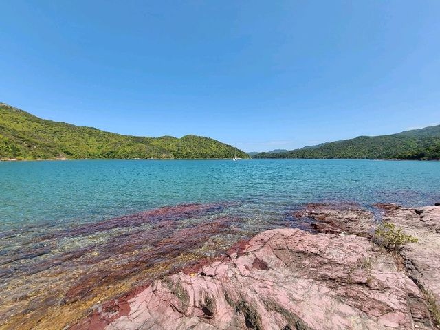 人間天堂~三椏🏞️
