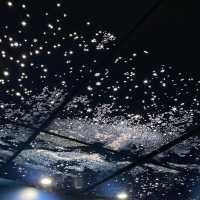 【横浜市】夏休みはここ！はまぎんこども宇宙科学館