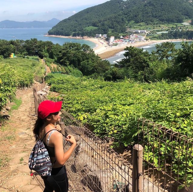 통영여행 "비진도 해수욕장" 예쁜 해외의 에메랄드 같은곳 💙💚