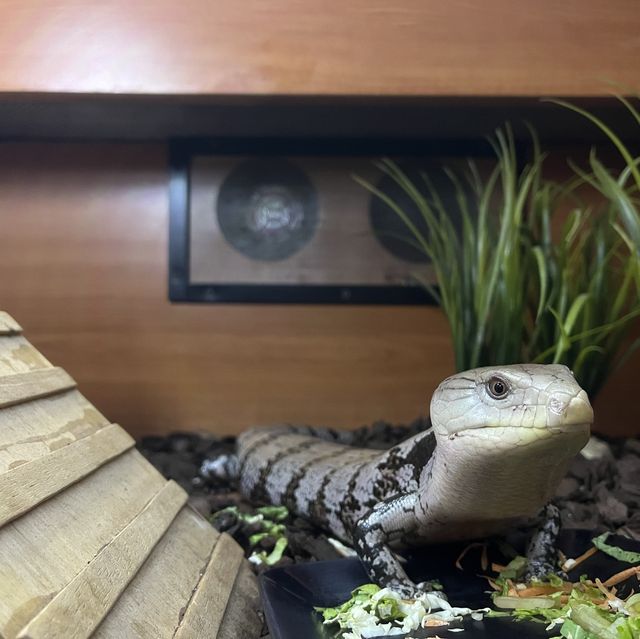 近距離欣賞海底世界的水族館！