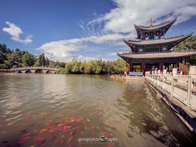 Black Dragon Pool Park@Lijiang, Yunnan