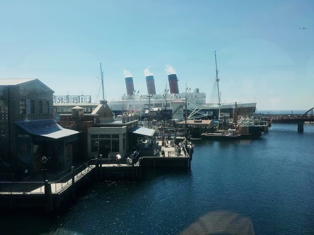 【🇯🇵楽しさがが眩しすぎぃっ✨✨】in Disney Sea