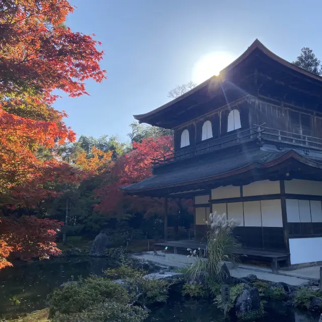 銀閣寺🍁