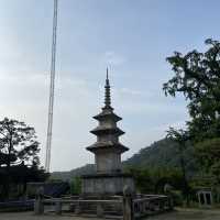 속세에서 벗어나고 싶을 땐, 용문사 템플스테이🪷