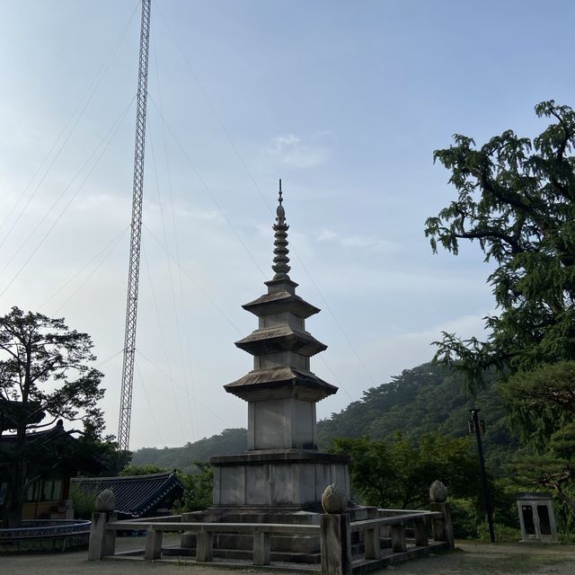 속세에서 벗어나고 싶을 땐, 용문사 템플스테이🪷